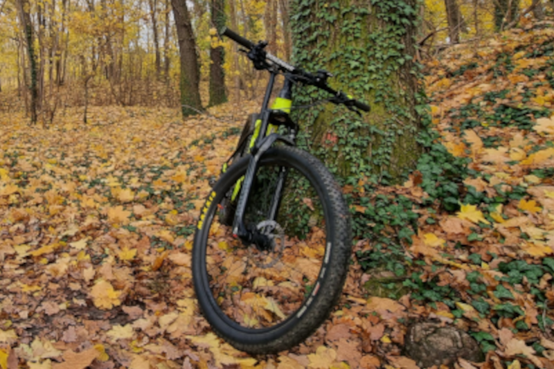 Wanderer im Spessart